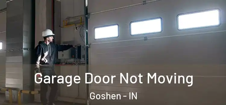  Garage Door Not Moving Goshen - IN