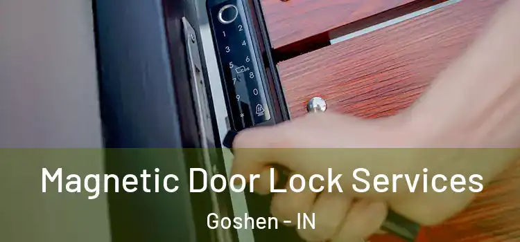 Magnetic Door Lock Services Goshen - IN